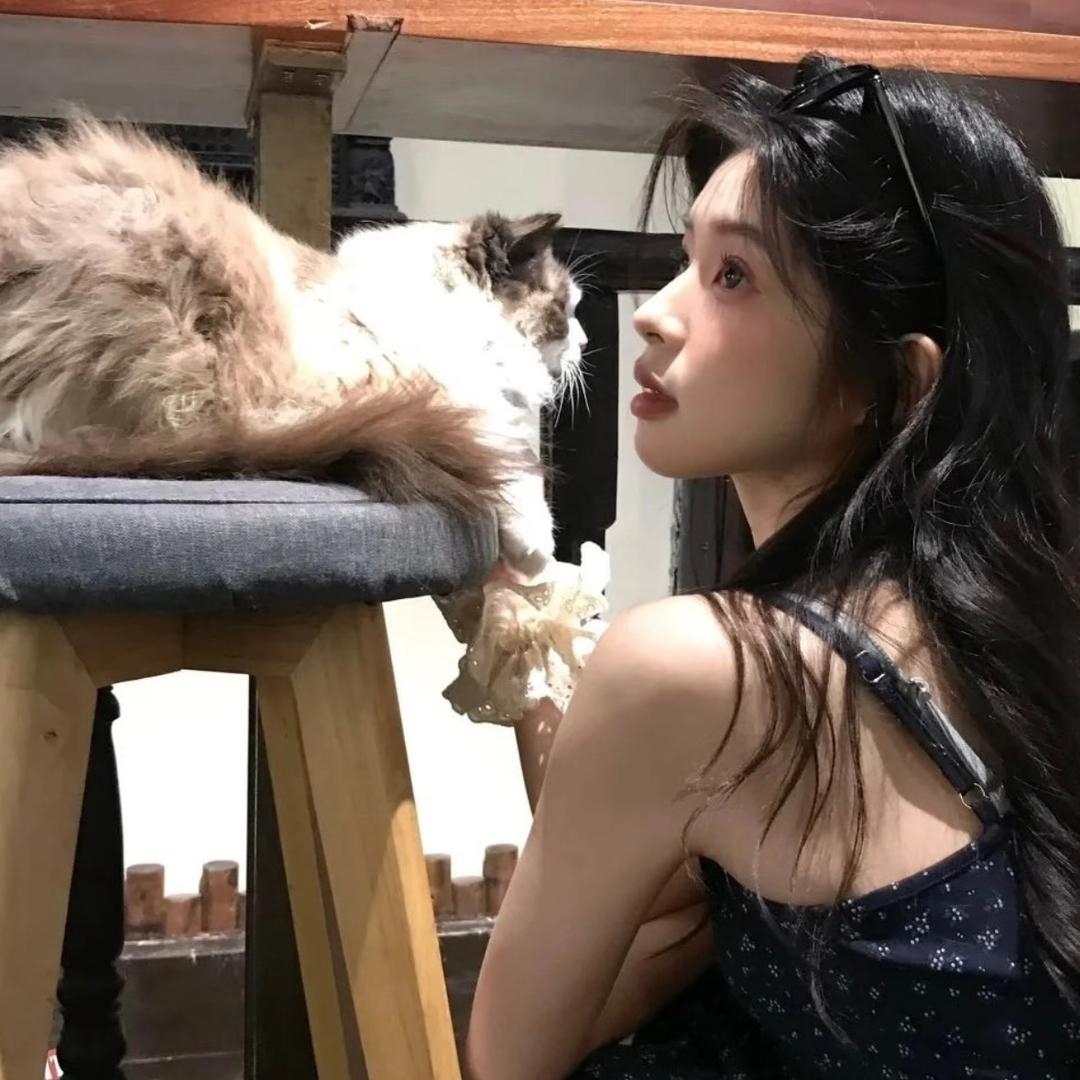 小杨不吃草🐑