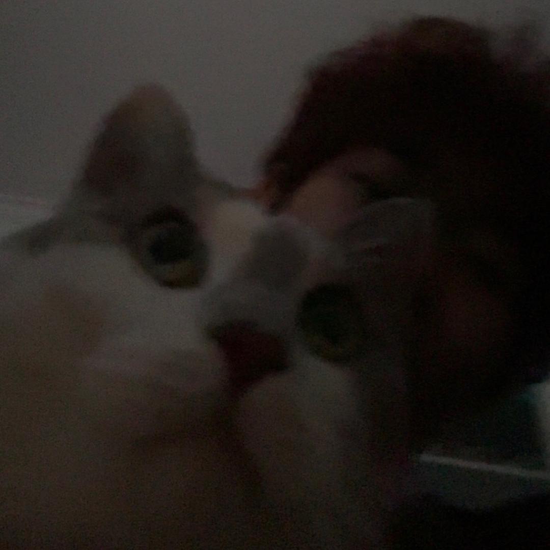 江東.