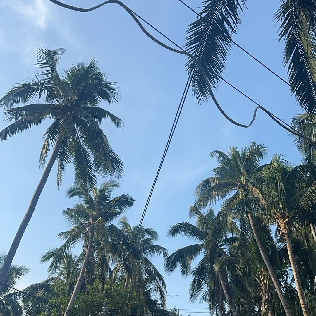 小boom 不辣