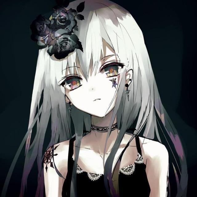 狸狸➰
