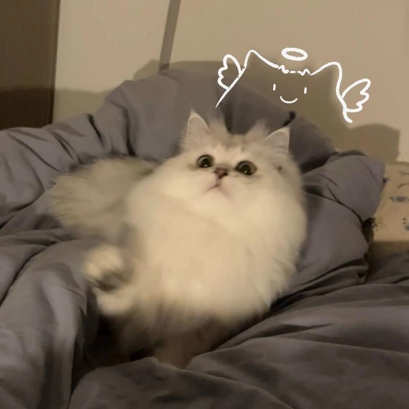 十年老兵（三角洲）