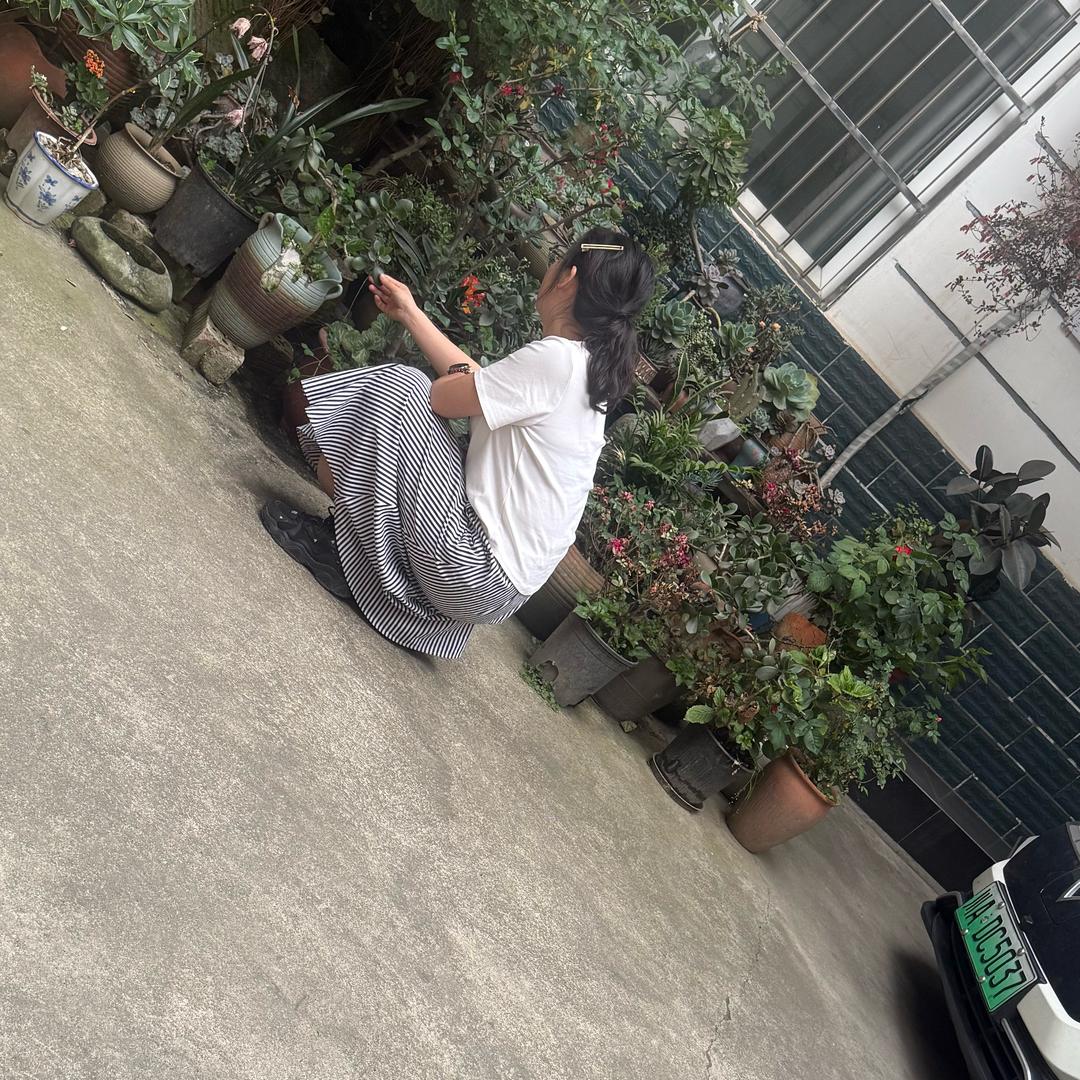 🌻小超超🌟