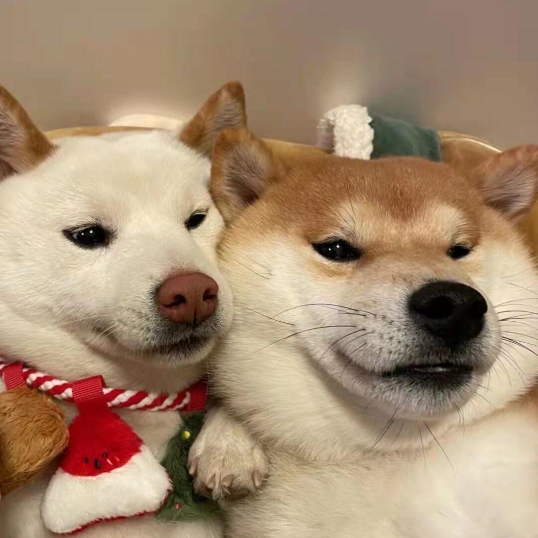 AAA建材批发胡哥