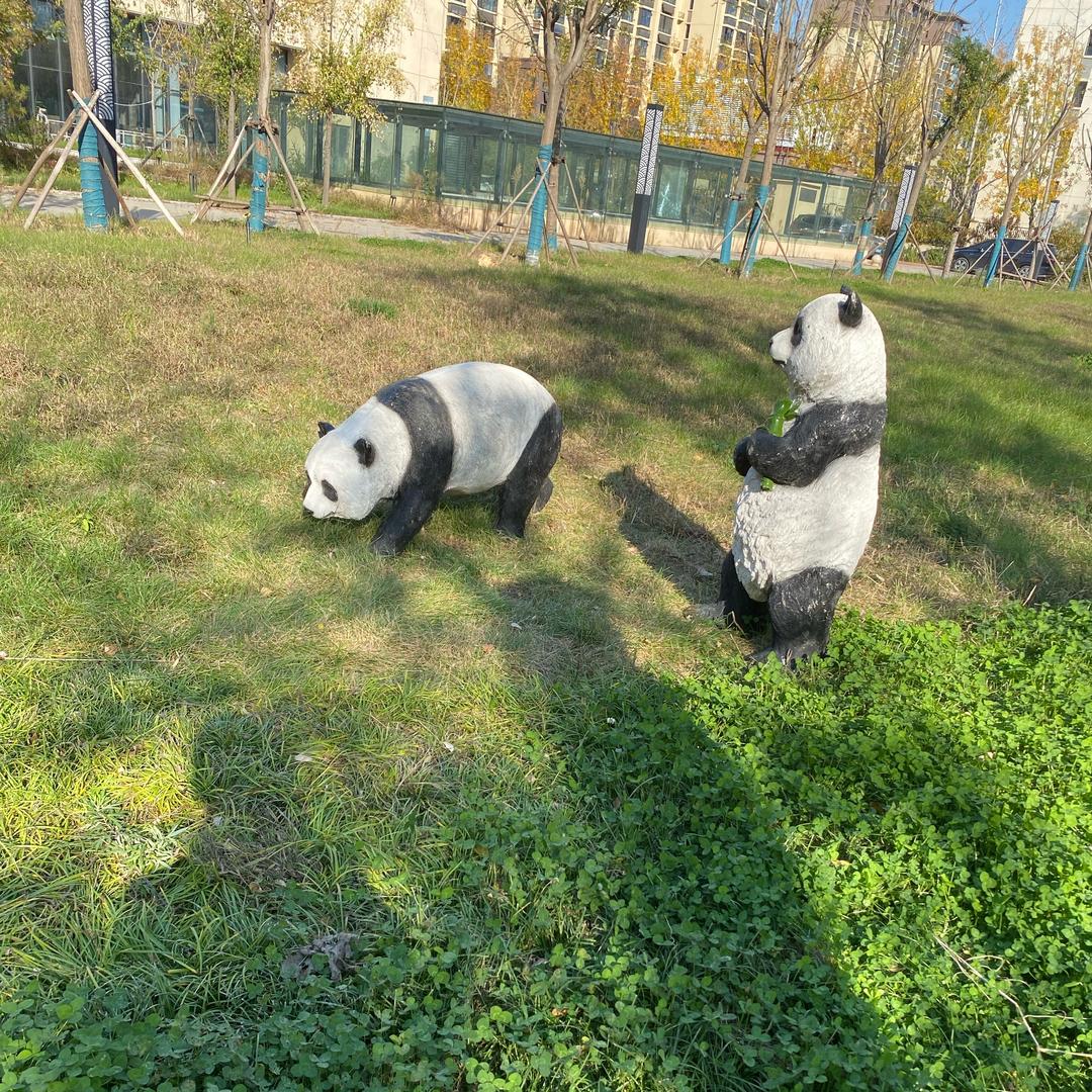 开心哥