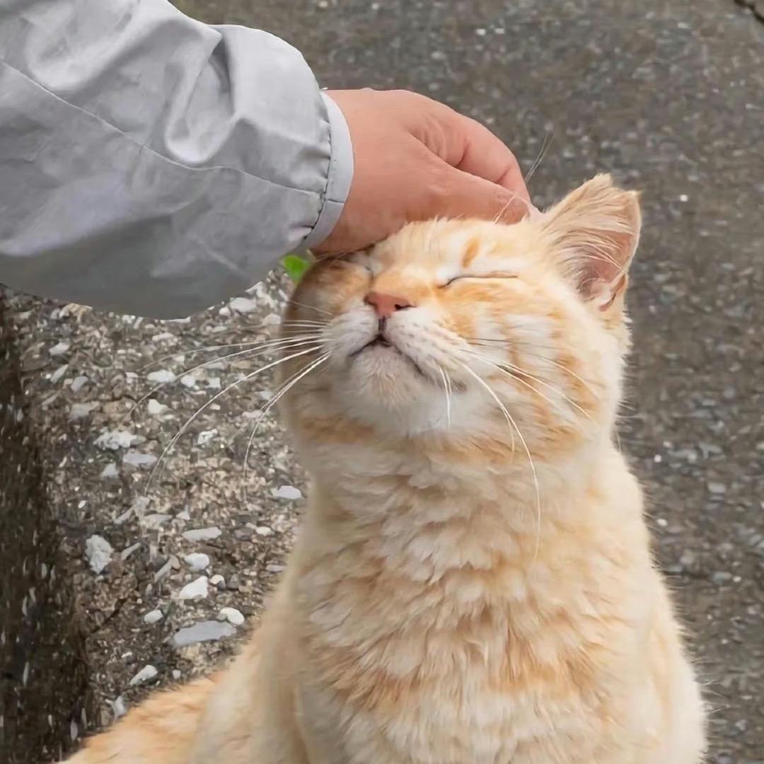 十二的装修日记