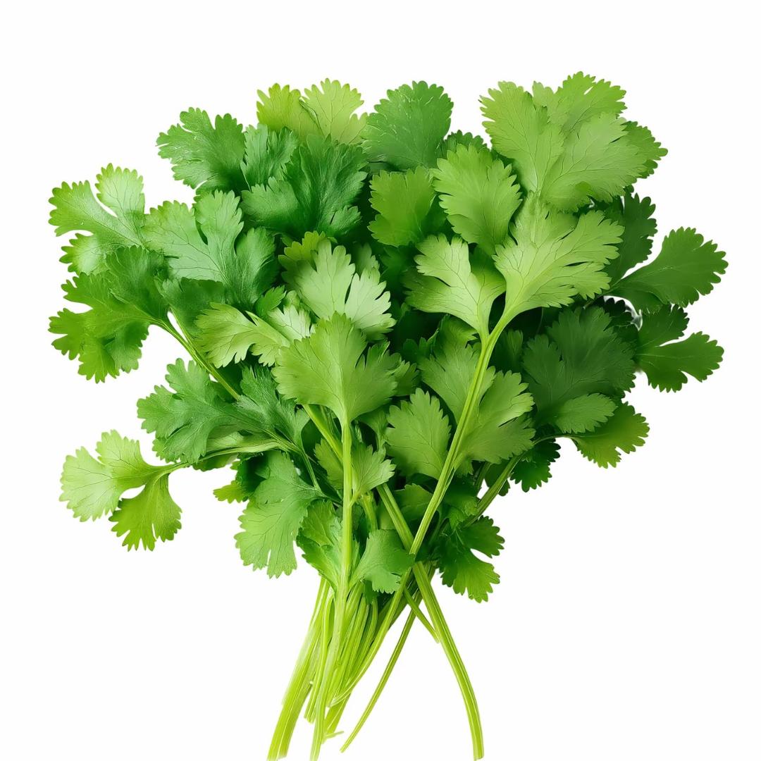 AAA蒸汽牛肉面批发零售总店