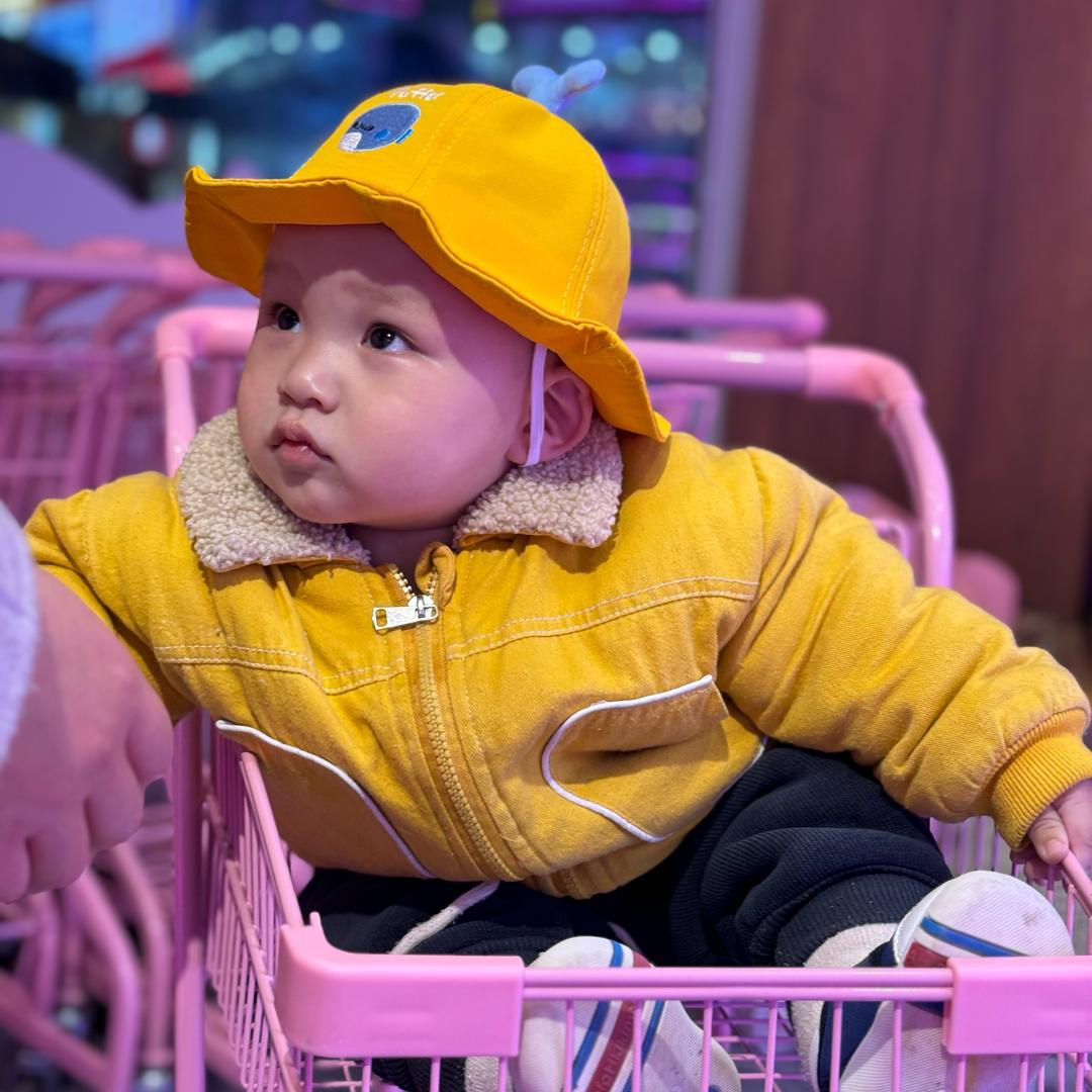 小小阿政在学习