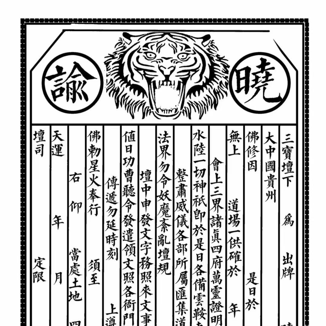 小梁同学🐳