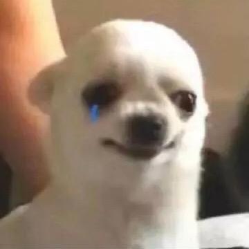 卡卡罗特特