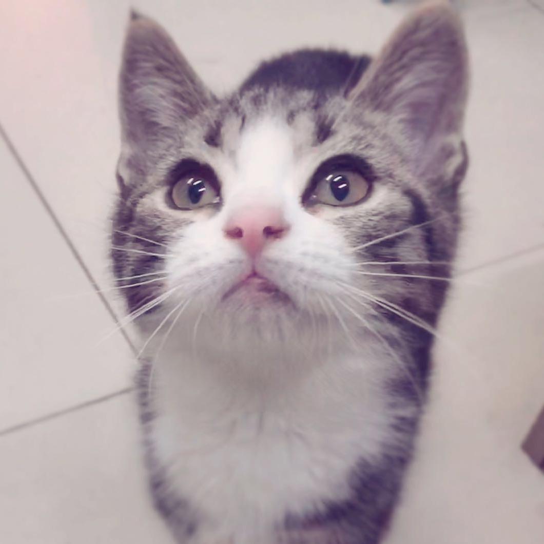 SatoJohn🍀🐈🏀熬夜大王