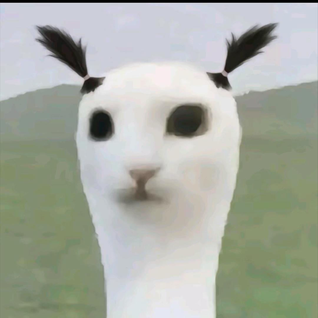 晴天∽