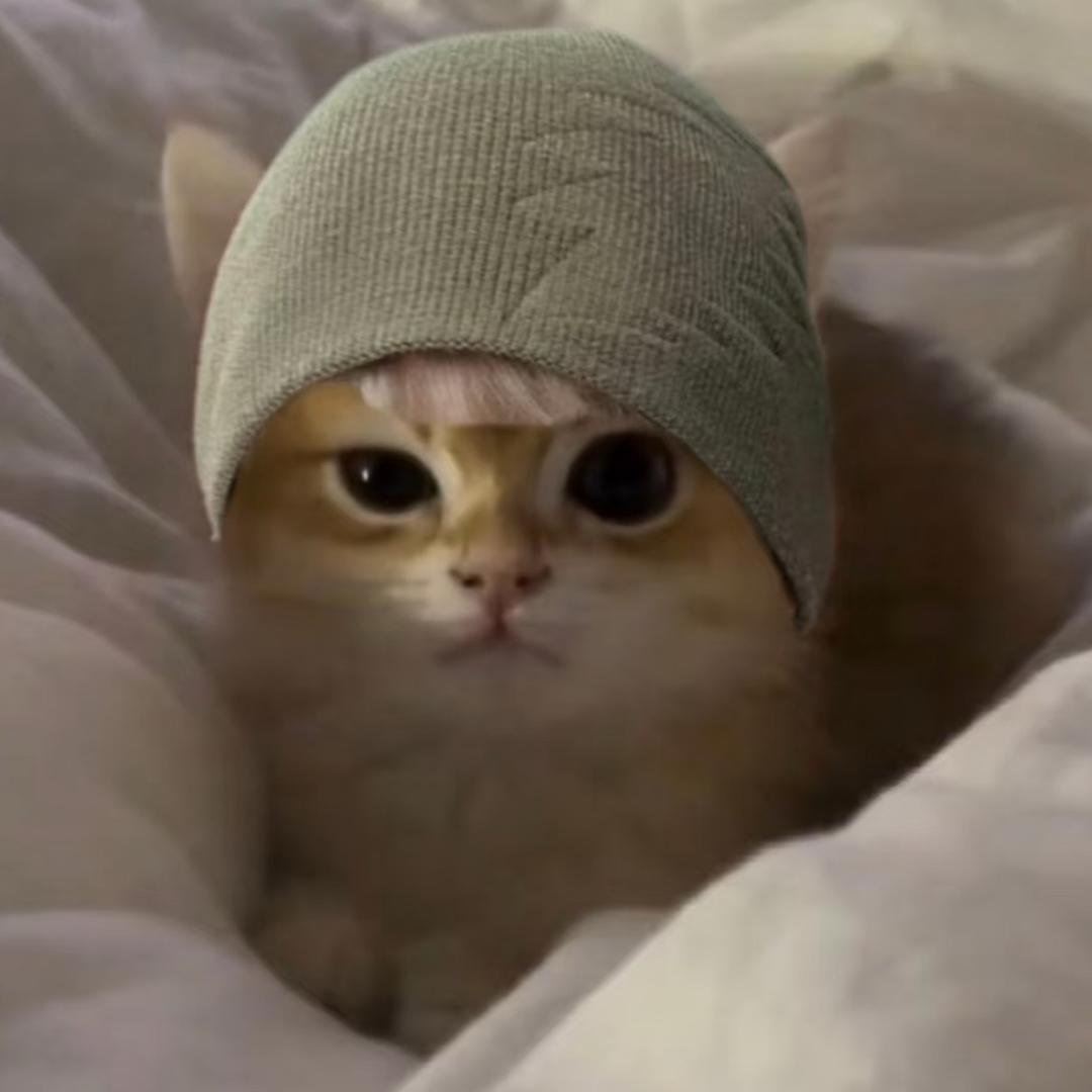 耳垂钉