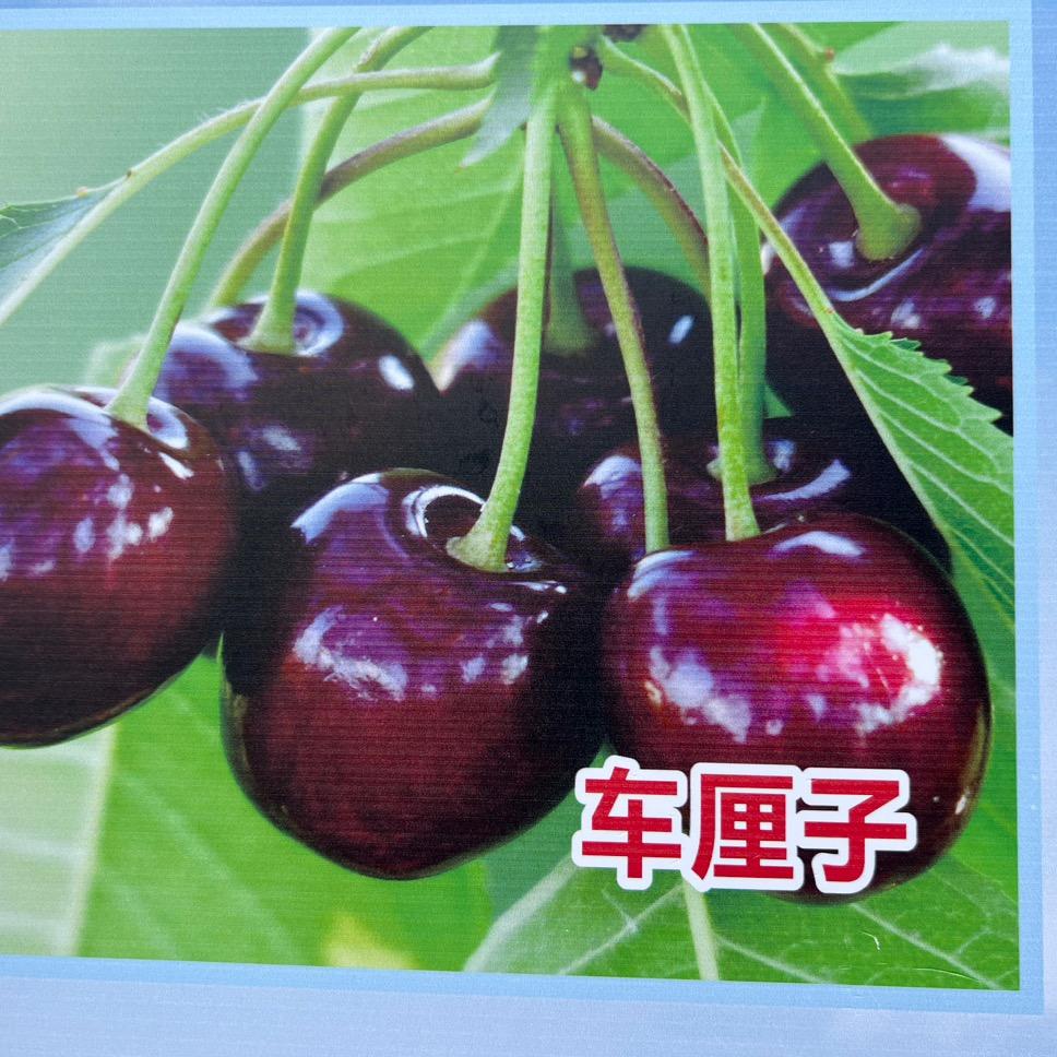 金河农业科技园