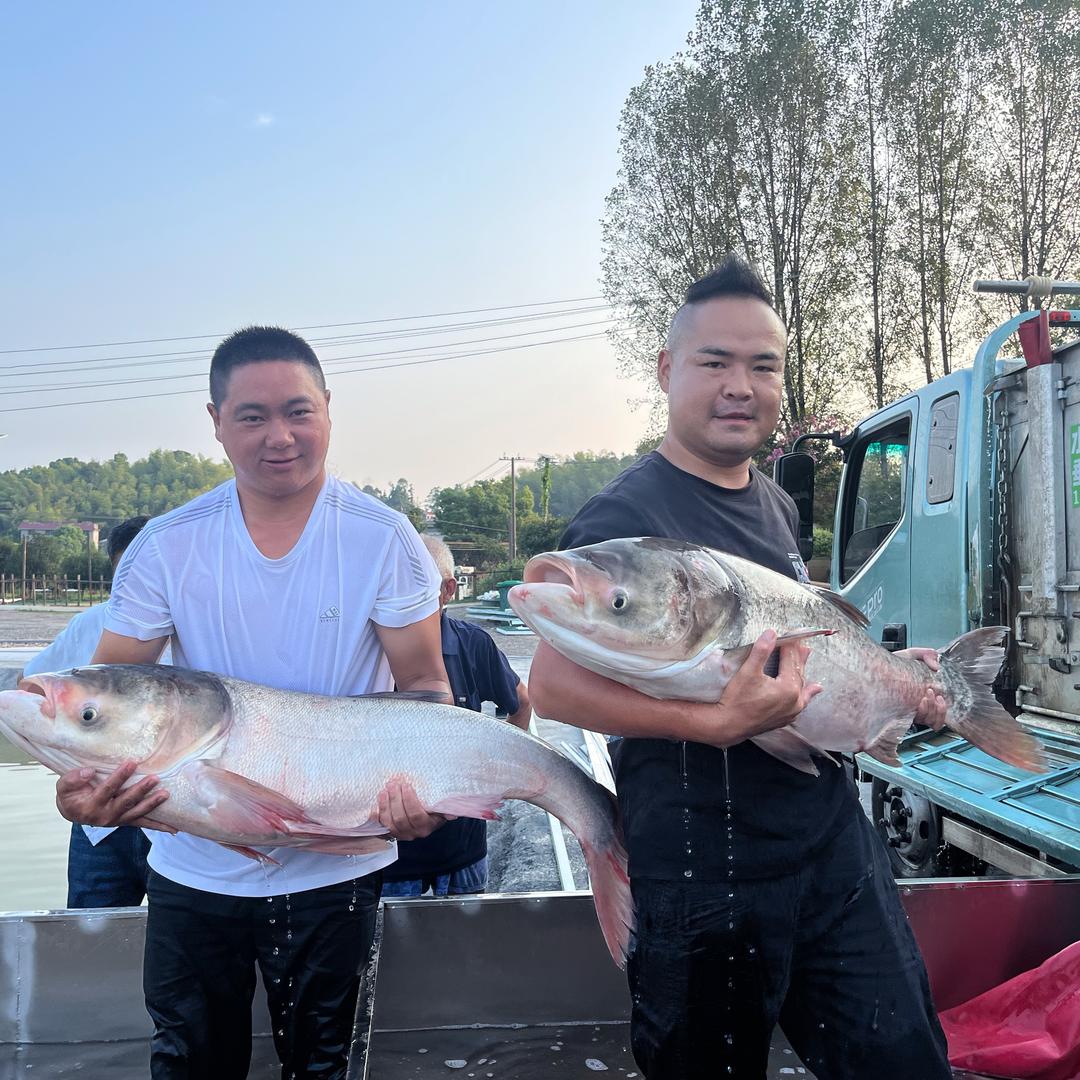 杰哥爱钓鱼🎣