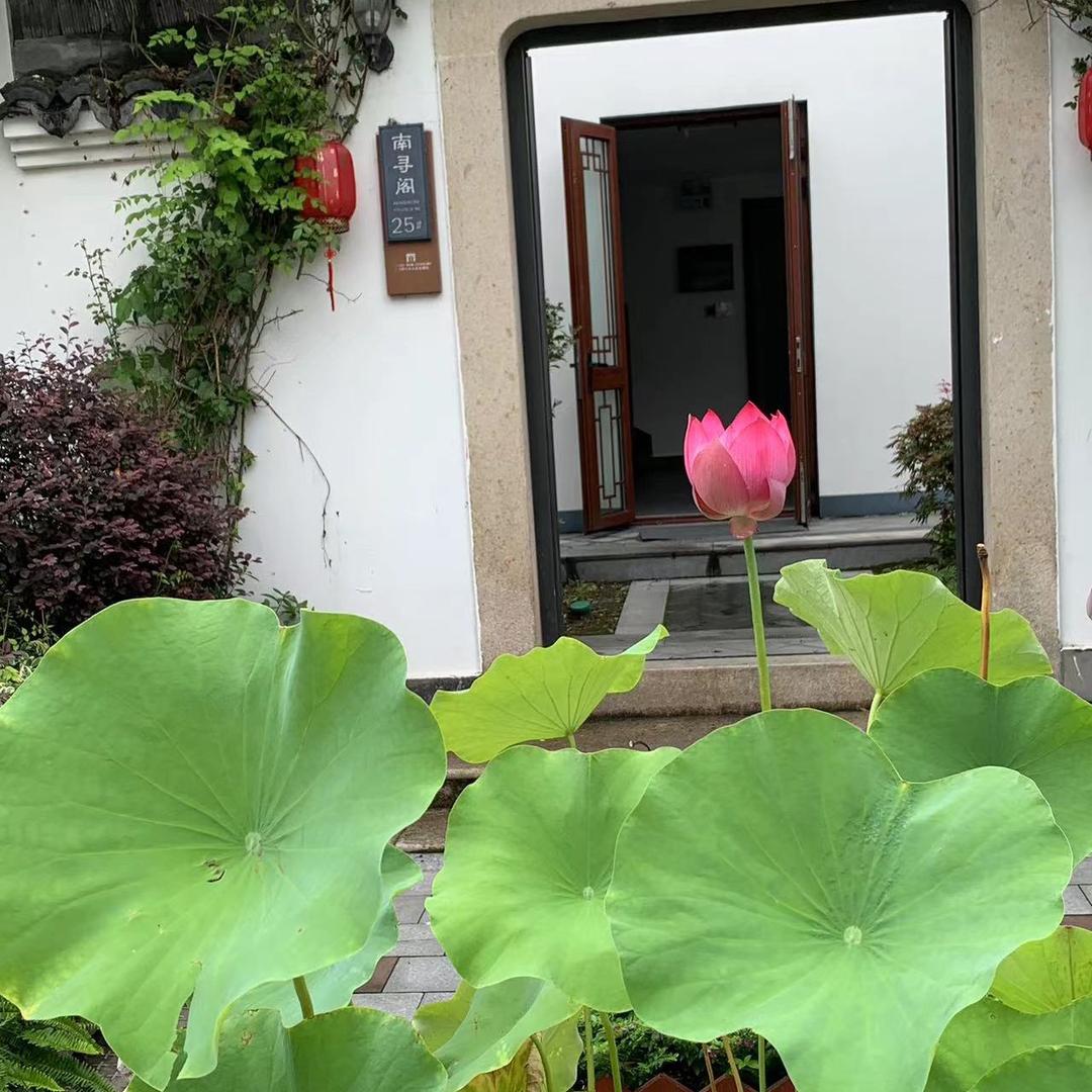 臭鱼干🎤（晚上8:30）