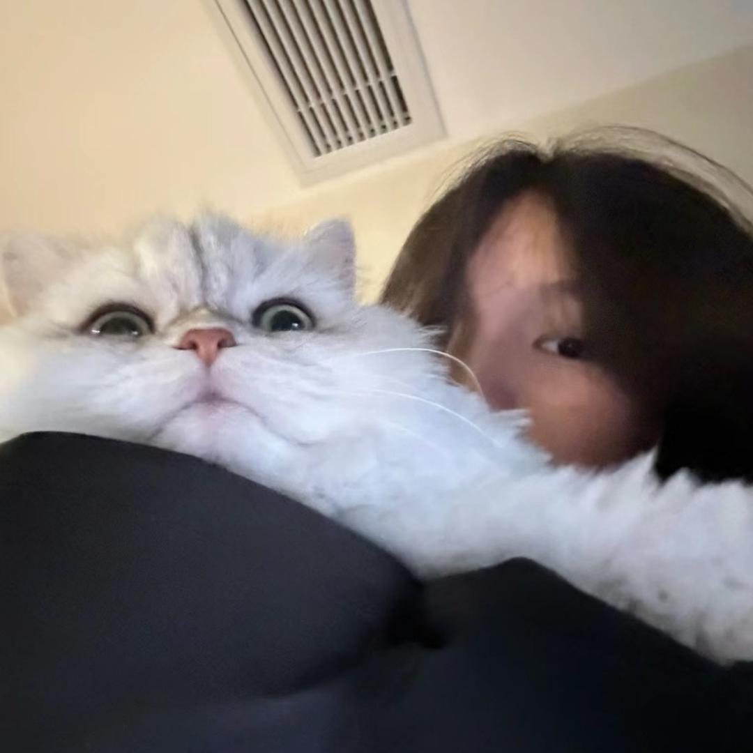 小云吞睡不醒
