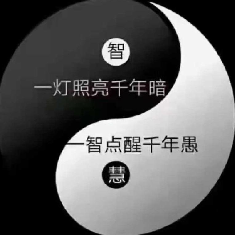 南来北往