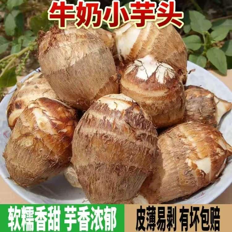 小刘在农村