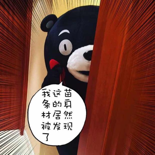 爱拆快递的猫