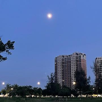 Sky