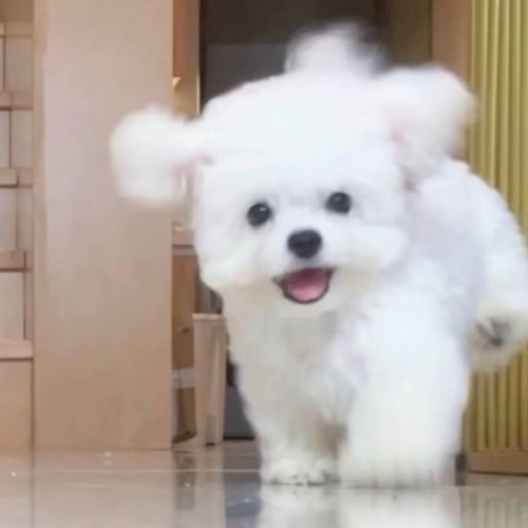 0806号宇航员👩‍🚀