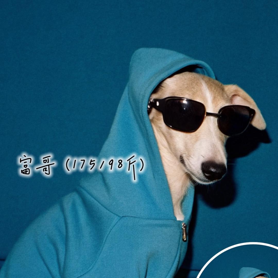 富哥 Feng（细狗）时尚芭莎