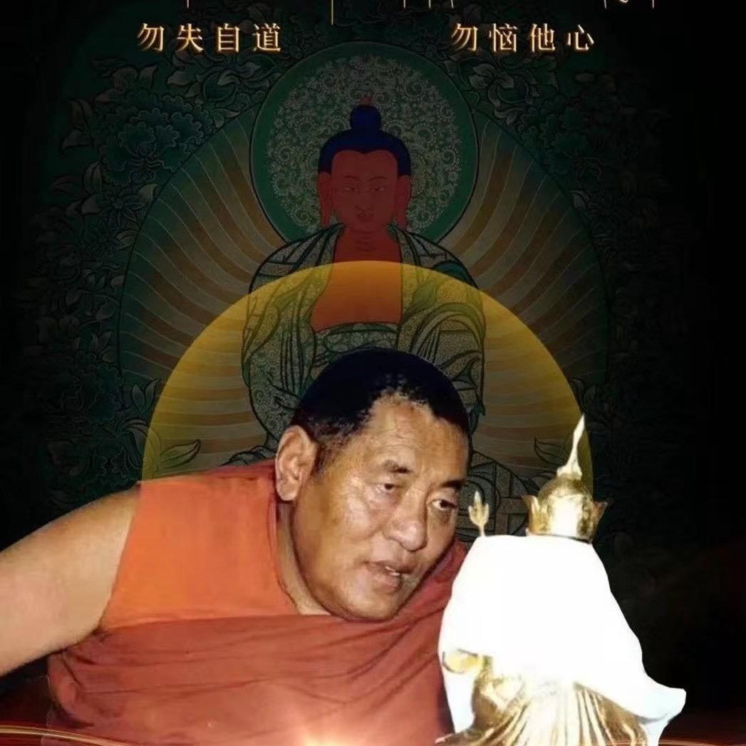 开 心 的 男 孩
