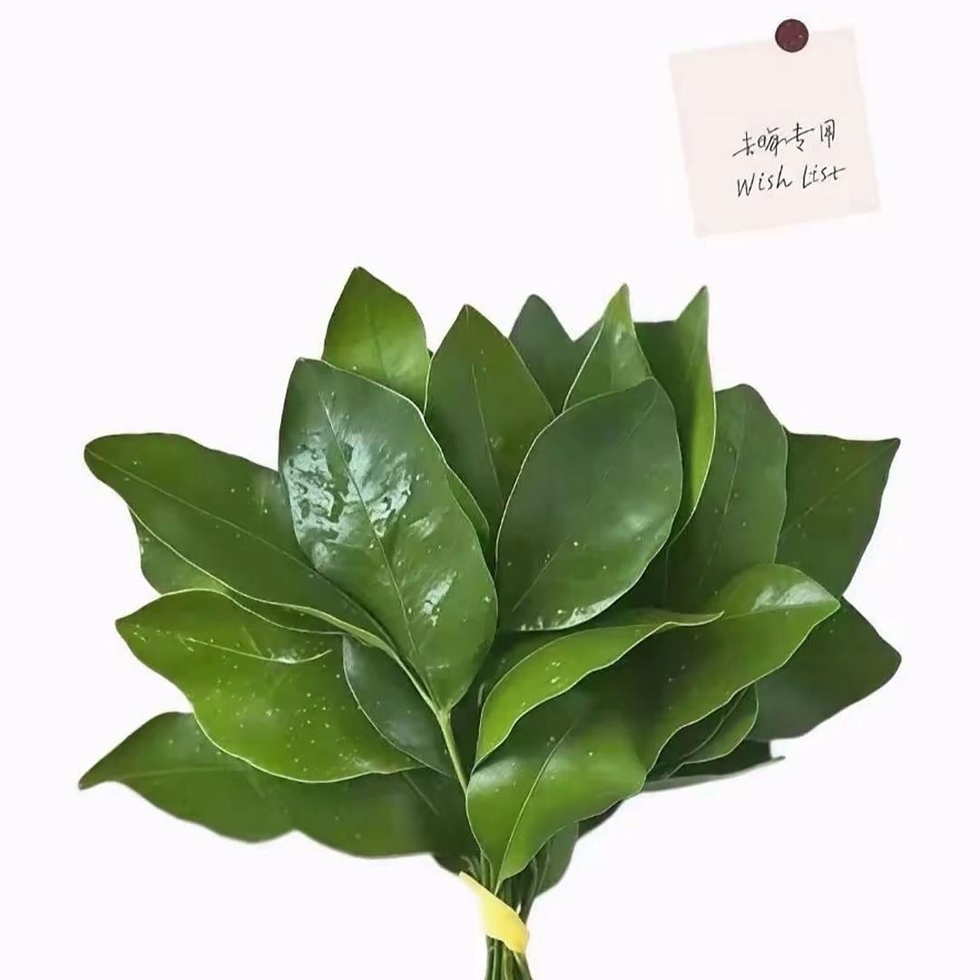 酸菜