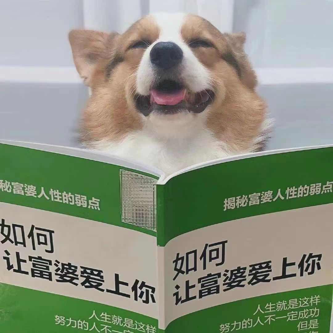 小叮当，