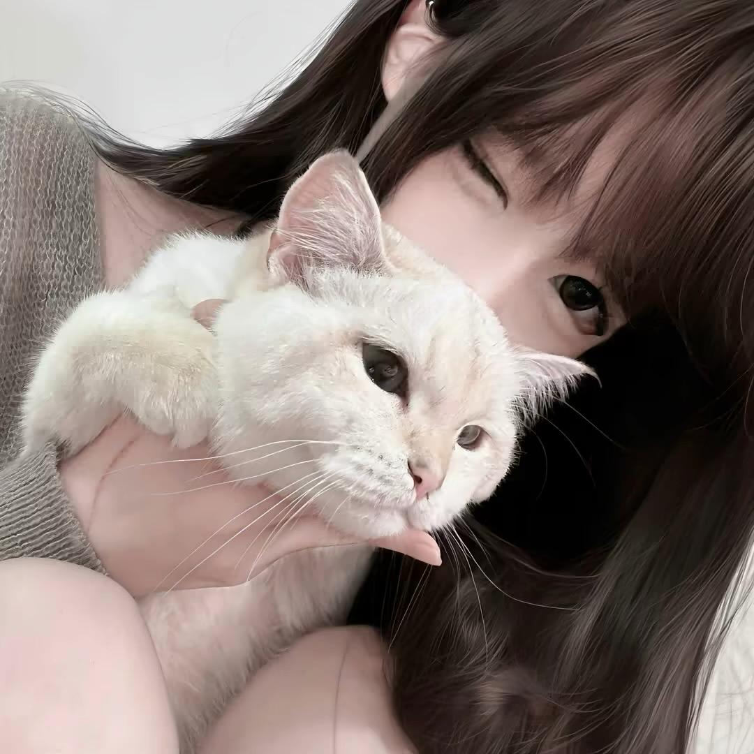 婷宝.