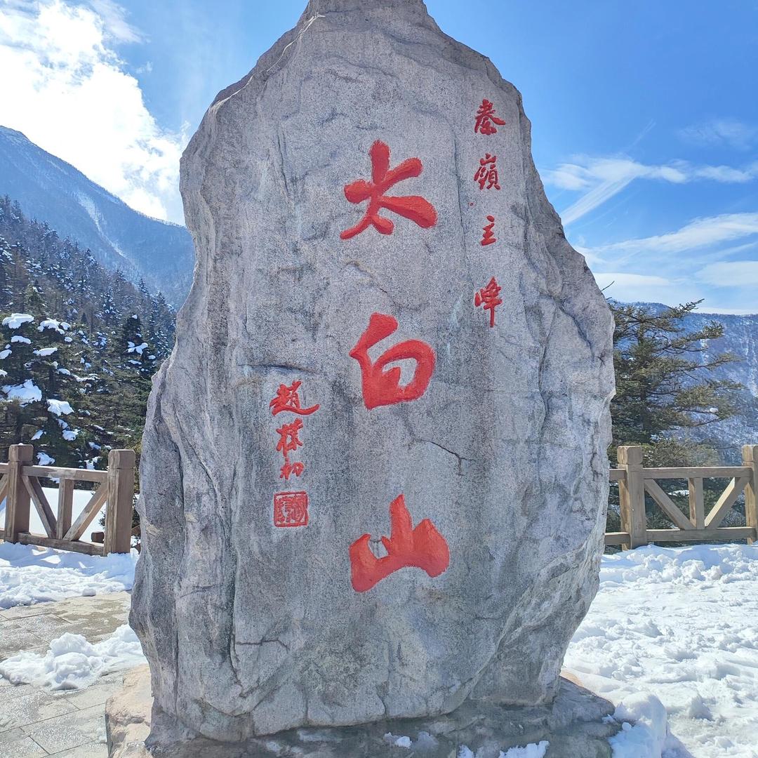 山间馈赠·山生物（农品）