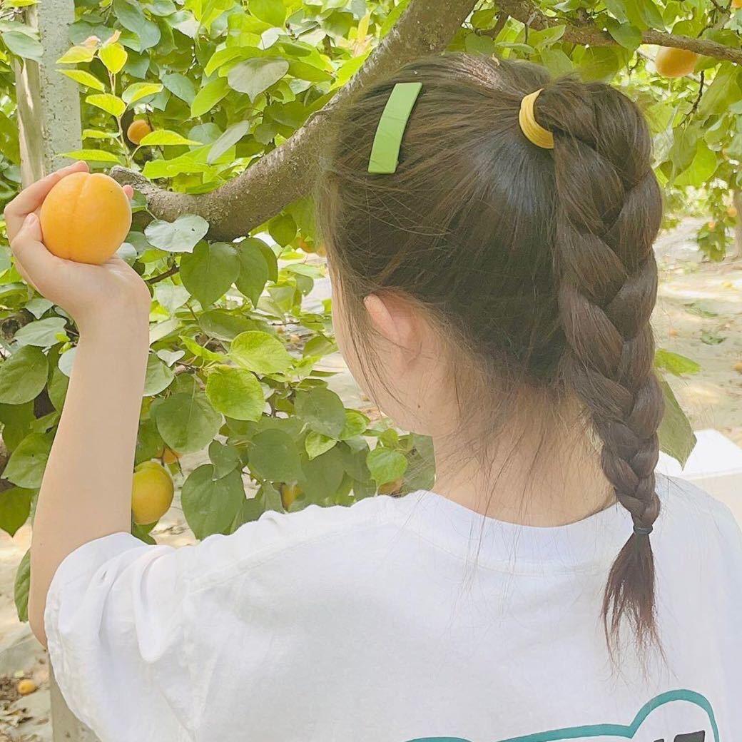 ☀️马鸡汤来啦☀️