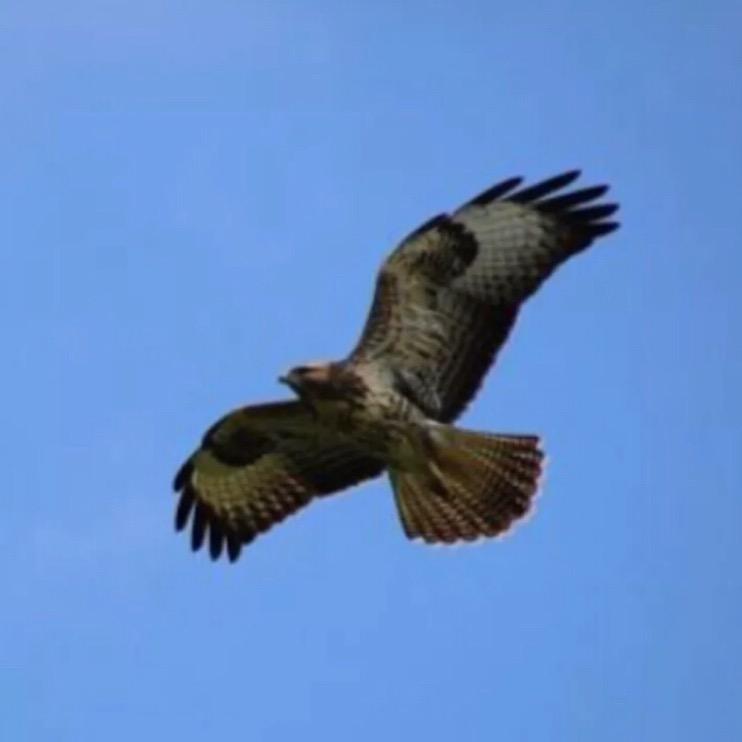 聂氏香溢粮油坊