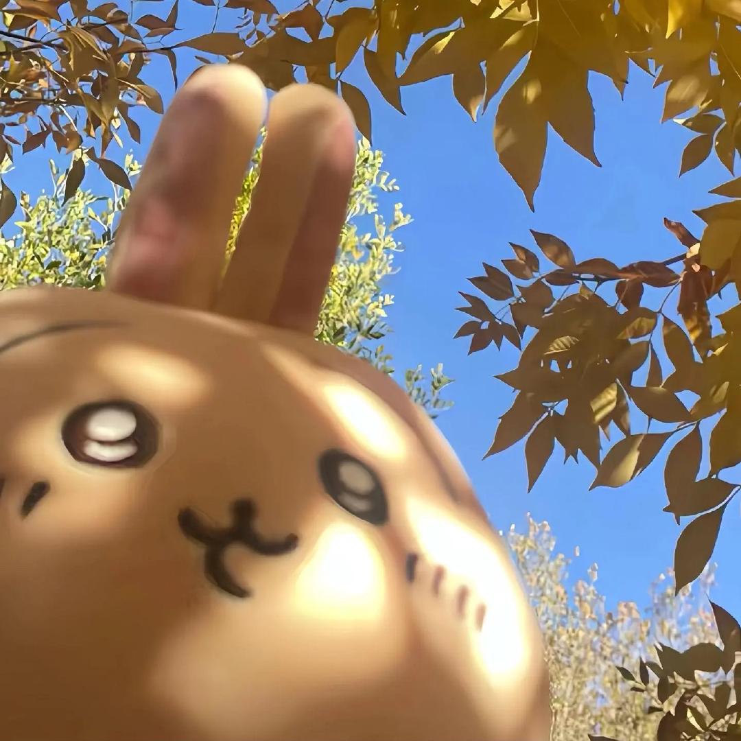 塔肥