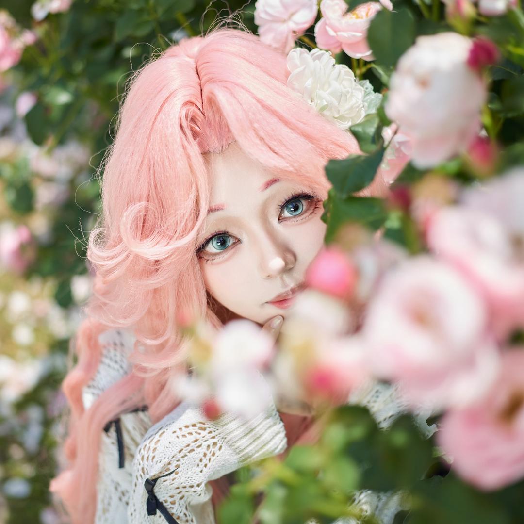 砂糖酱（球推荐—