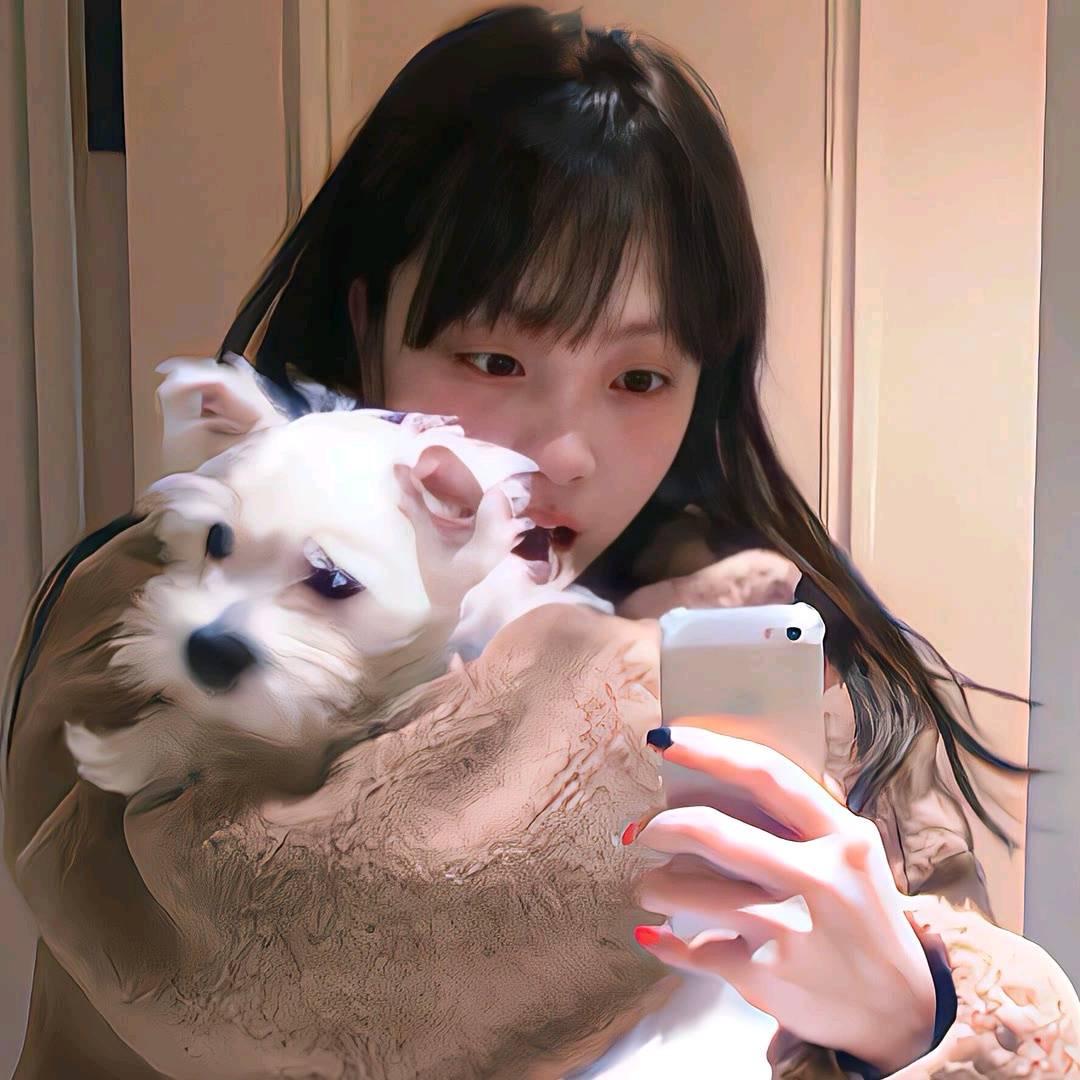 一块曲琦🍪