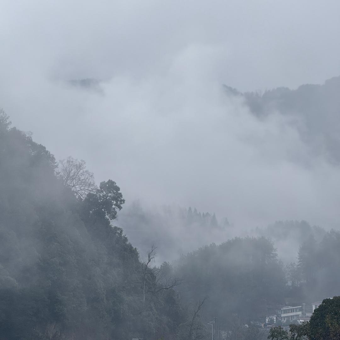 追光者___
