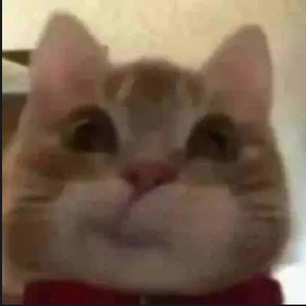拾陆