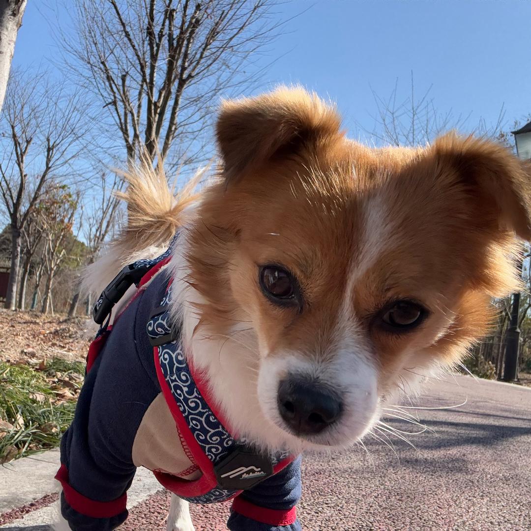 车座子宝贝贝和潦草宝奇奇的麻麻