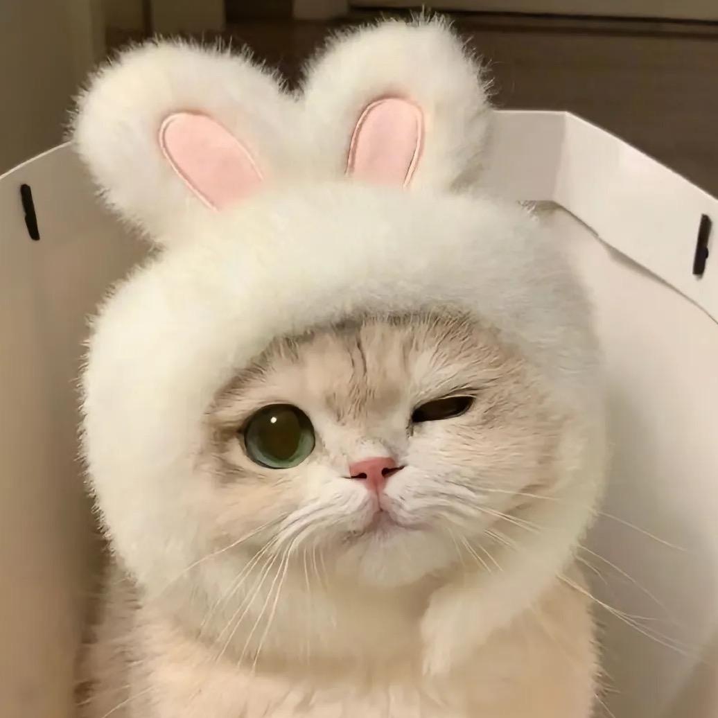 思绪、