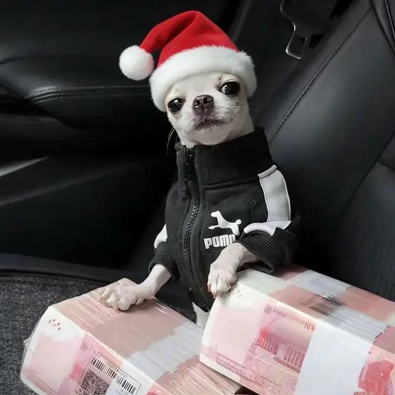 啊昆
