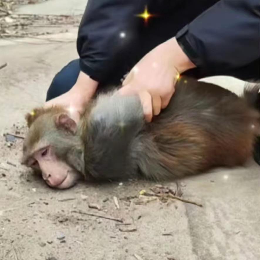 $小成故事╯╲🎣