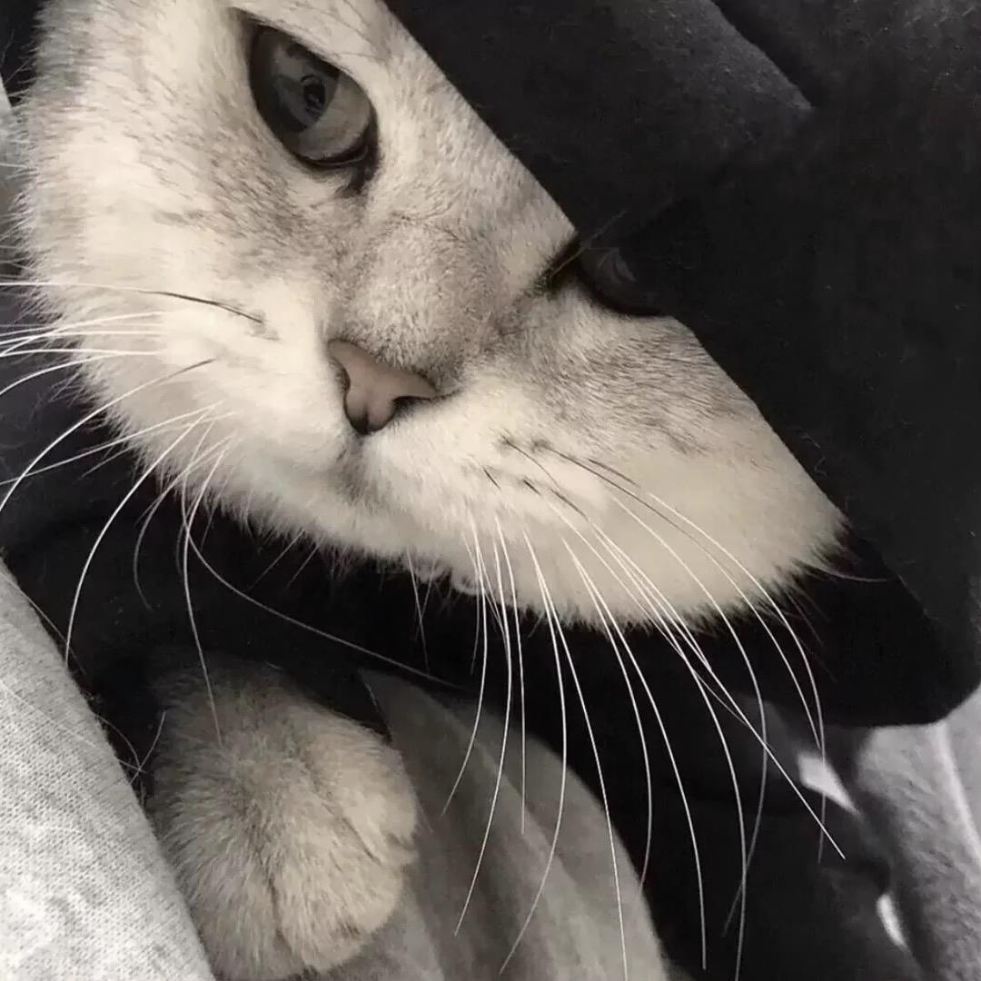 王权乔氏台球俱乐部官方号