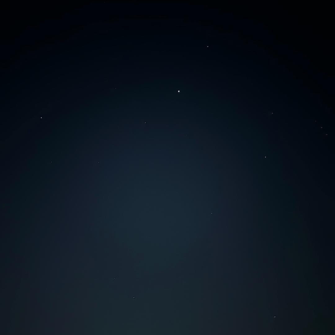 傻子achol