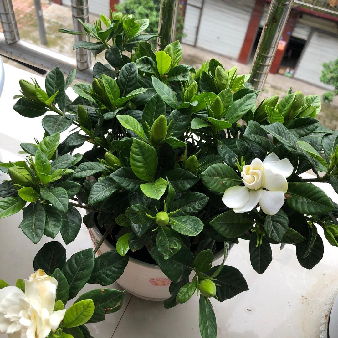 随心所欲