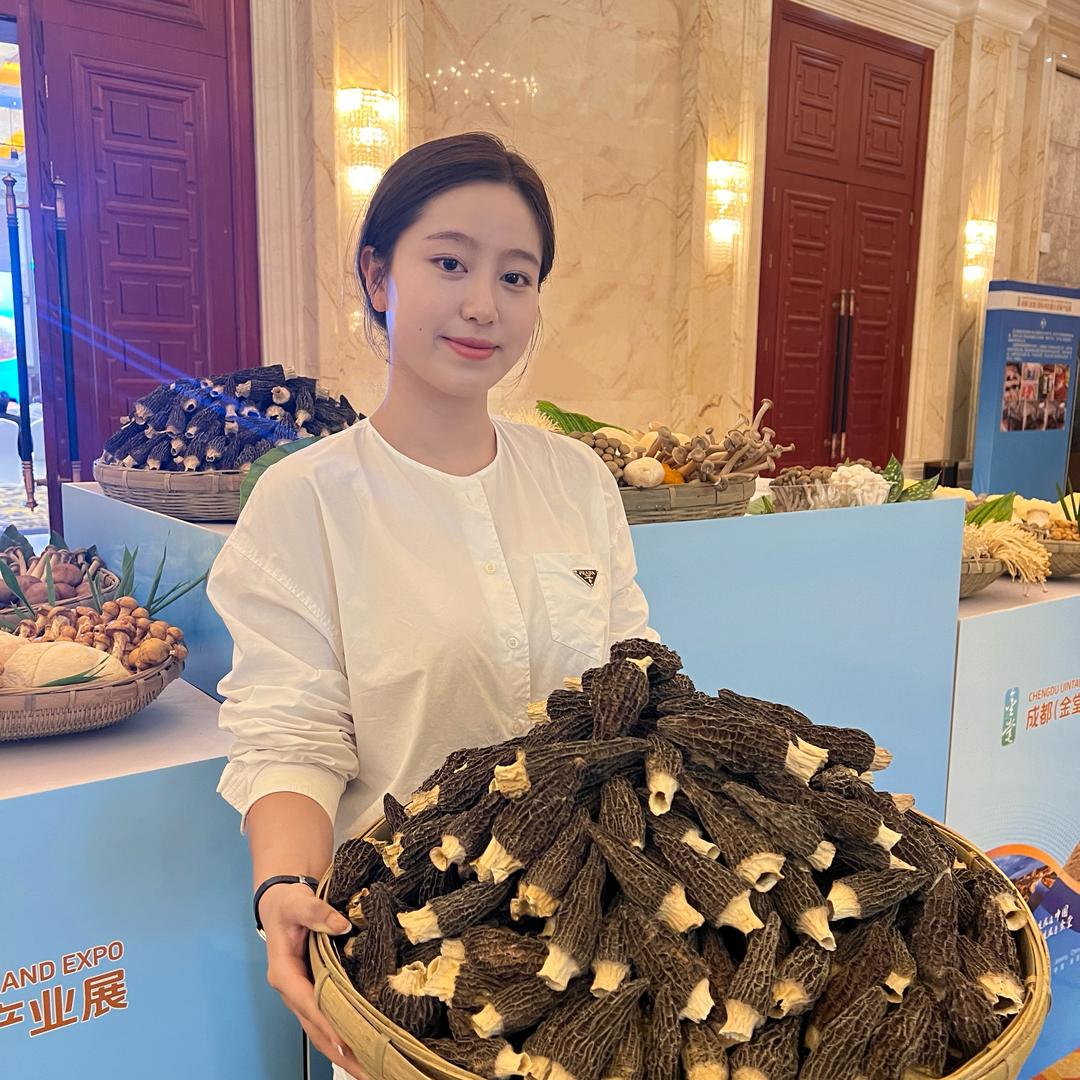 悦悦子羊肚菌产地批发供应链