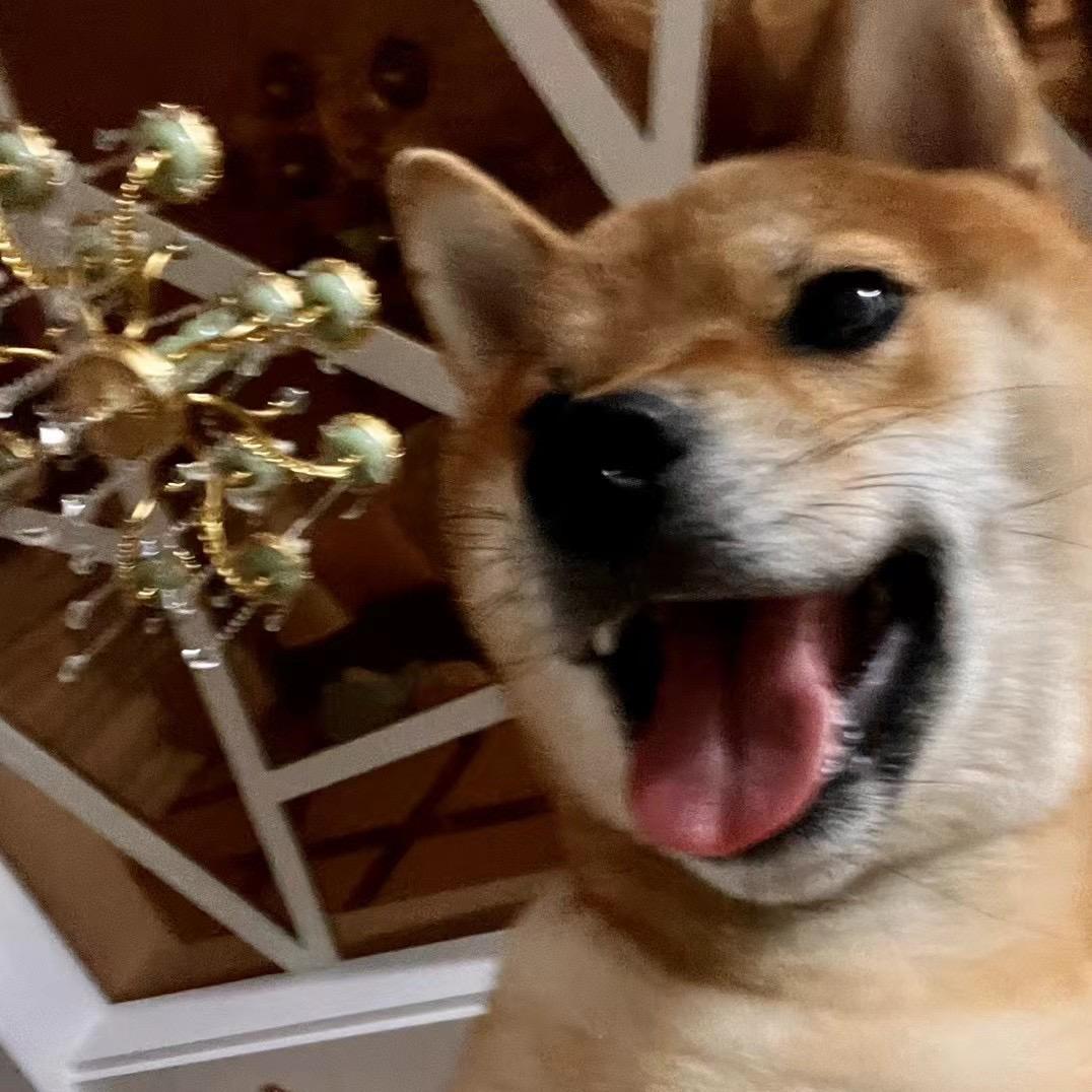 浪漫土狗