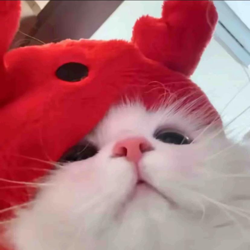 桃之瑶