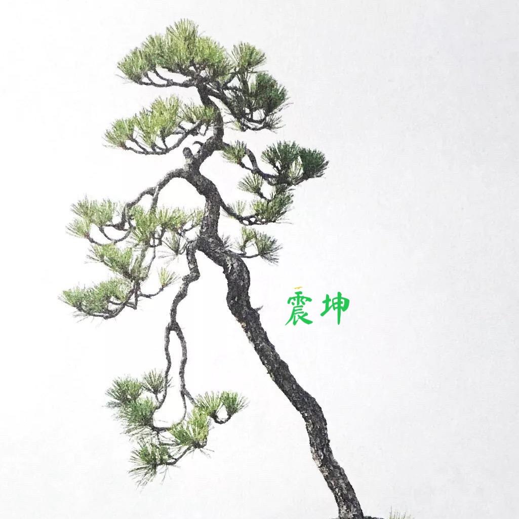 李明军（请勿连赞）