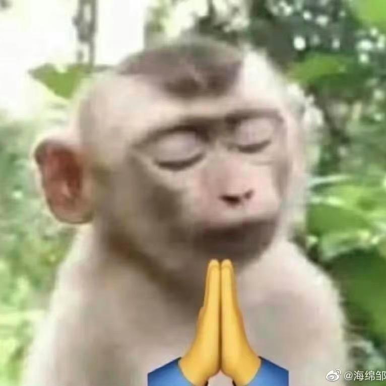 余姚猴子王